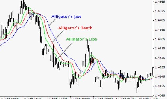 indicatore alligator
